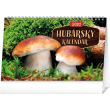 Desk calendar Mushrooms SK 2021, 23,1 × 14,5 cm