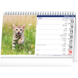 Stolní kalendář Kočky – Mačky CZ/SK 2022, 23,1 × 14,5 cm