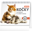 Stolní kalendář Kočky – se jmény koček 2022, 16,5 × 13 cm