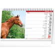 Desk calendar Horses 2021, 23,1 × 14,5 cm