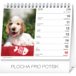 Stolní kalendář Psy – s menami psov SK 2019, 16,5 x 13 cm
