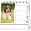 Desk calendar Dogs – with dog names SK 2021, 16,5 × 13 cm