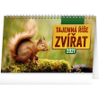 Desk calendar Magic of Animal's World 2021, 23,1 × 14,5 cm